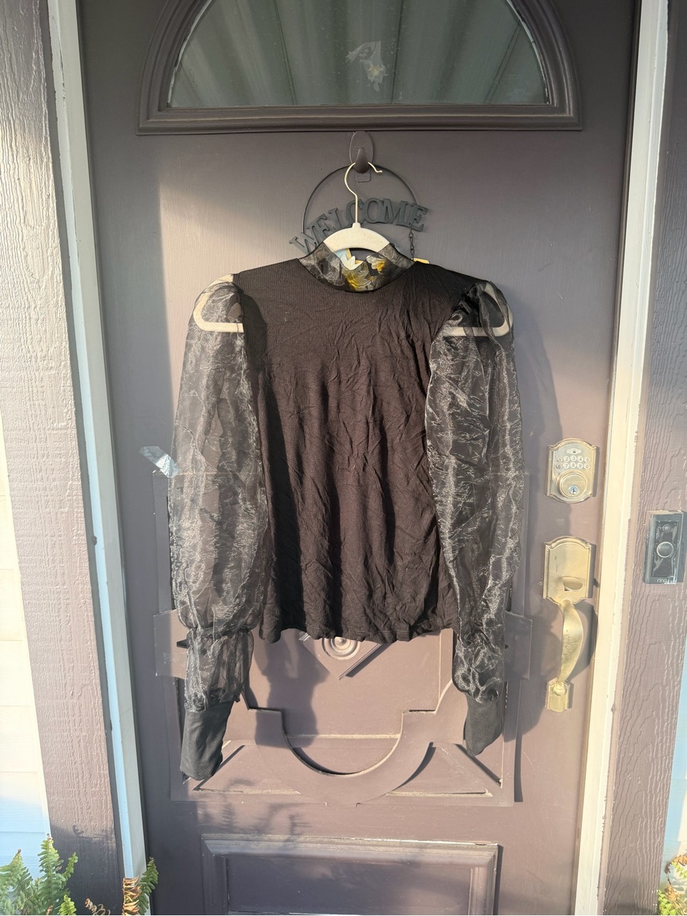Willow Black Sheer Puff-Sleeve Blouse
